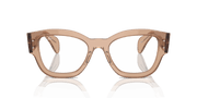 Clear Lenses, Polished Transparent Light Brown Frame