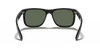 [Dark Green Lenses, Polished Black Frame]