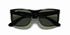 [Dark Green Lenses, Polished Black Frame]