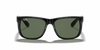 [Dark Green Lenses, Polished Black Frame]