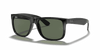 [Dark Green Lenses, Polished Black Frame]