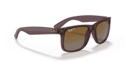 Brown Lenses, Polished Transparent Dark Brown Frame