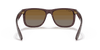 [Brown Lenses, Polished Transparent Dark Brown Frame]