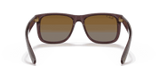 Brown Lenses, Polished Transparent Dark Brown Frame