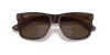 [Brown Lenses, Polished Transparent Dark Brown Frame]