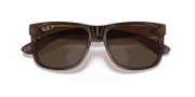 Brown Lenses, Polished Transparent Dark Brown Frame