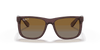 [Brown Lenses, Polished Transparent Dark Brown Frame]