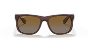 Brown Lenses, Polished Transparent Dark Brown Frame