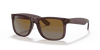 [Brown Lenses, Polished Transparent Dark Brown Frame]