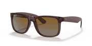 Brown Lenses, Polished Transparent Dark Brown Frame