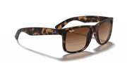 Dark Brown Lenses, Matte Havana Frame