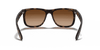 [Dark Brown Lenses, Matte Havana Frame]