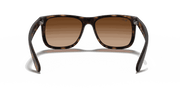 Dark Brown Lenses, Matte Havana Frame