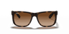 [Dark Brown Lenses, Matte Havana Frame]