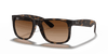 [Dark Brown Lenses, Matte Havana Frame]