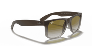 Green Gradient Lenses, Matte Brown Frame