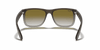 [Green Gradient Lenses, Matte Brown Frame]