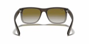 Green Gradient Lenses, Matte Brown Frame