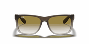 Green Gradient Lenses, Matte Brown Frame