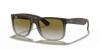 [Green Gradient Lenses, Matte Brown Frame]