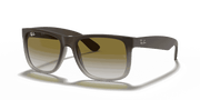 Green Gradient Lenses, Matte Brown Frame