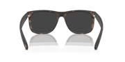 Dark Grey Lenses, Matte Havana Frame