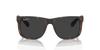 [Dark Grey Lenses, Matte Havana Frame]