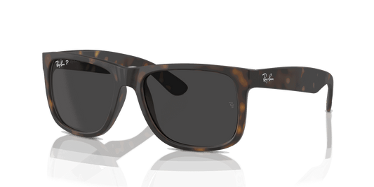 [Dark Grey Lenses, Matte Havana Frame]