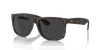 [Dark Grey Lenses, Matte Havana Frame]