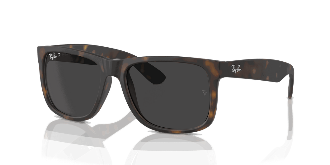 [Dark Grey Lenses, Matte Havana Frame]