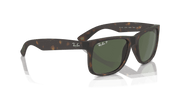 Dark Green Lenses, Matte Havana Frame