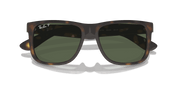 Dark Green Lenses, Matte Havana Frame