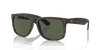 [Dark Green Lenses, Matte Havana Frame]