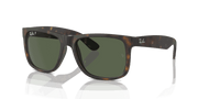 Dark Green Lenses, Matte Havana Frame