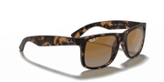 Brown/Grey Lenses, Matte Havana Frame