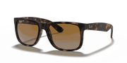 Brown/Grey Lenses, Matte Havana Frame