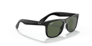 Dark Green Lenses, Polished Black Frame