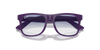 [Blue Lenses, Polished Opal Violet Frame]