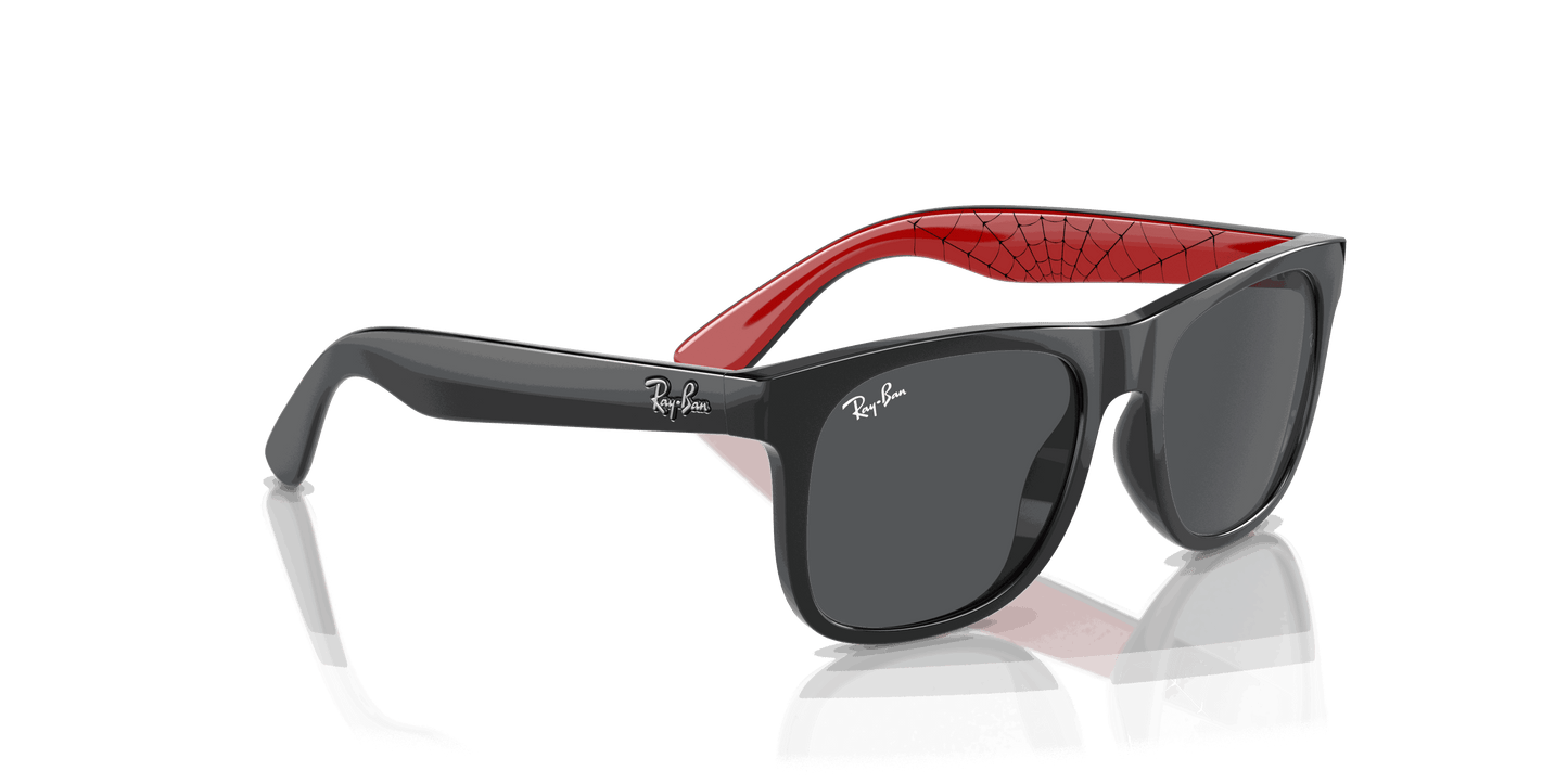 [Dark Grey Lenses, Polished Black Frame]