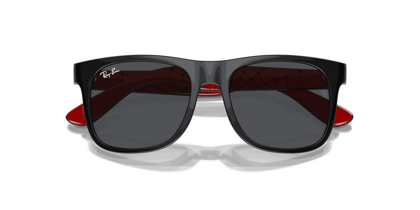 [Dark Grey Lenses, Polished Black Frame]