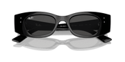 Dark Grey Lenses, Polished Black Frame