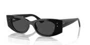 Dark Grey Lenses, Polished Black Frame