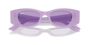 Violet Lenses, Polished Lilac Frame