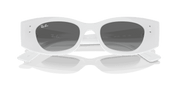 Grey Lenses, Polished White Frame