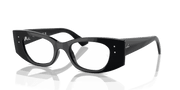 Clear Lenses, Polished Black Frame