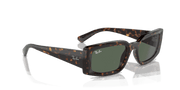 Dark Green Lenses, Polished Havana Frame