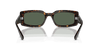 [Dark Green Lenses, Polished Havana Frame]