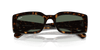 [Dark Green Lenses, Polished Havana Frame]