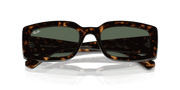 Dark Green Lenses, Polished Havana Frame