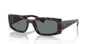 Dark Green Lenses, Polished Havana Frame